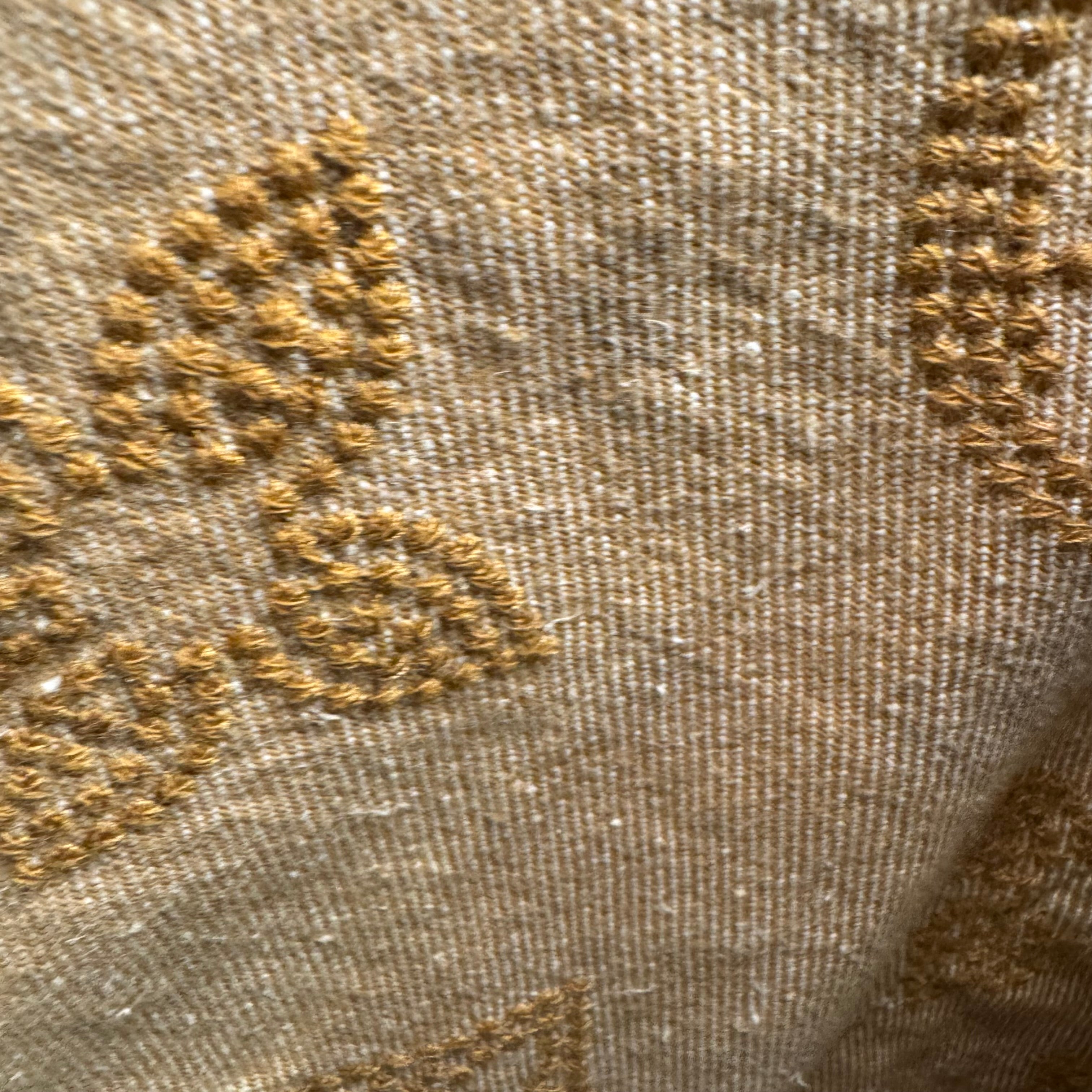 Louis Vuitton monogram denim jacket